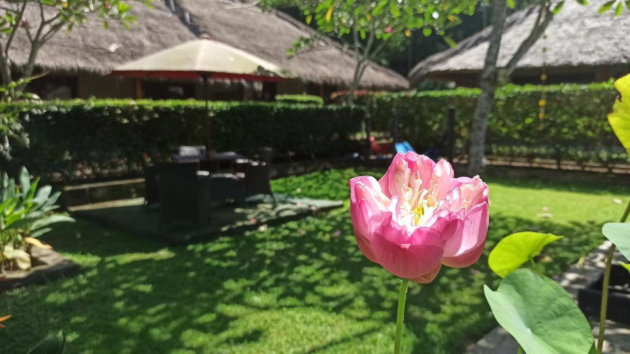 Mama Bella'S Retreat Senggigi Exterior foto